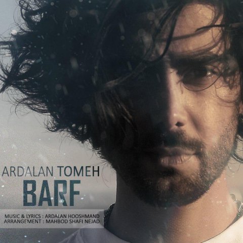 Ardalan Tomeh - Barf